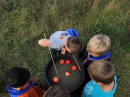 Spejdere leger med æbler