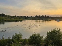 Fugletræk mellemlander lige nedenfor Laurentiushytten